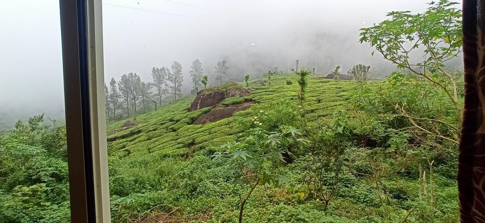 Tea Dale - All Rooms With Tea Estate View Munnar Luaran gambar