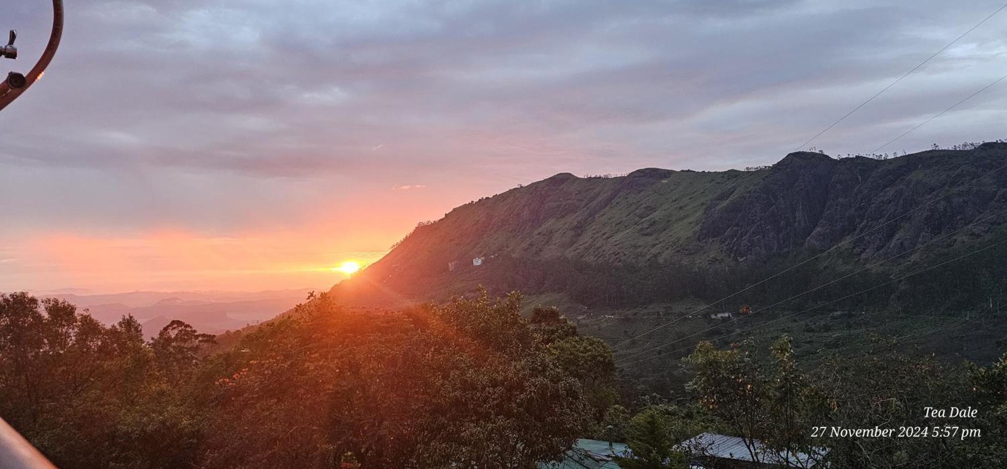Tea Dale - All Rooms With Tea Estate View Munnar Luaran gambar