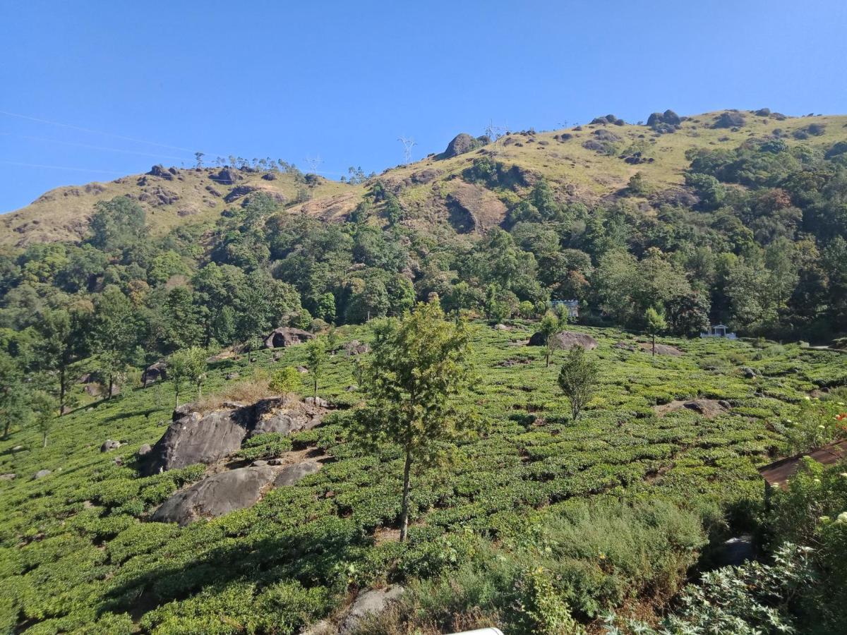 Tea Dale - All Rooms With Tea Estate View Munnar Luaran gambar