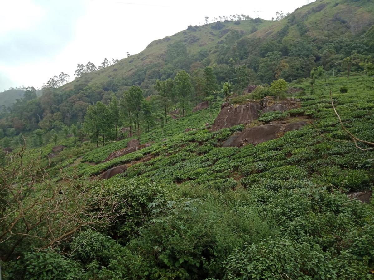 Tea Dale - All Rooms With Tea Estate View Munnar Luaran gambar