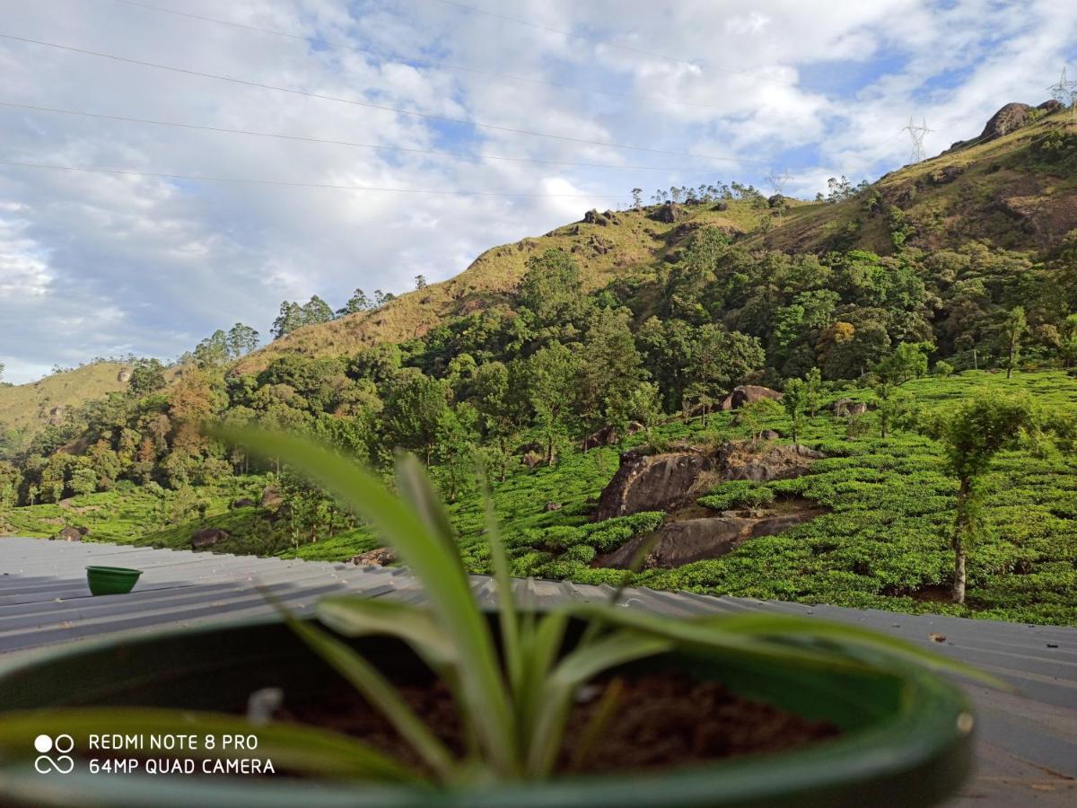 Tea Dale - All Rooms With Tea Estate View Munnar Luaran gambar